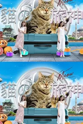 《猫之旅神》：萌猫治愈之旅，探寻城市角落的爱与奇遇！